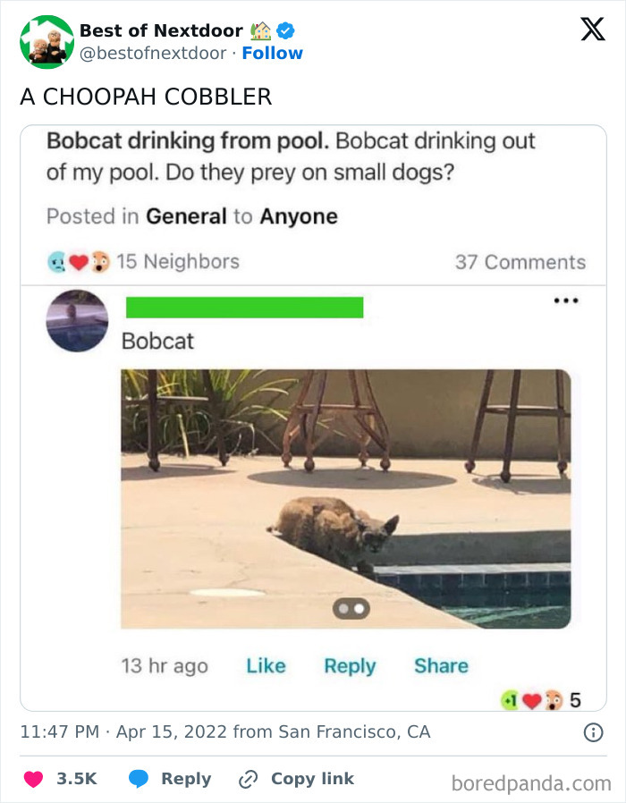 Wait, They Actually Posted THAT? Wild Neighbor Drama From Best Of Nextdoor
