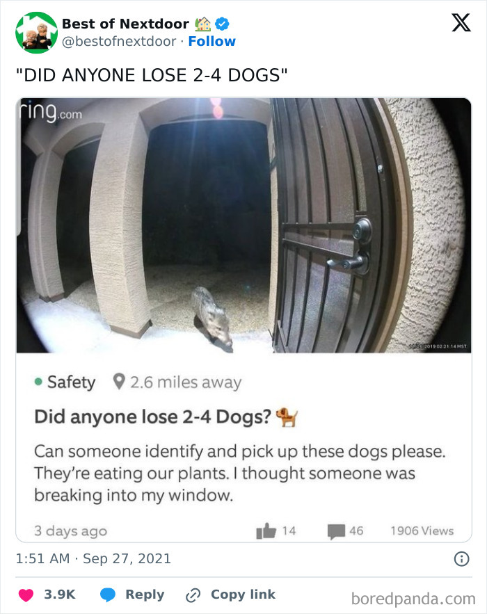 Wait, They Actually Posted THAT? Wild Neighbor Drama From Best Of Nextdoor