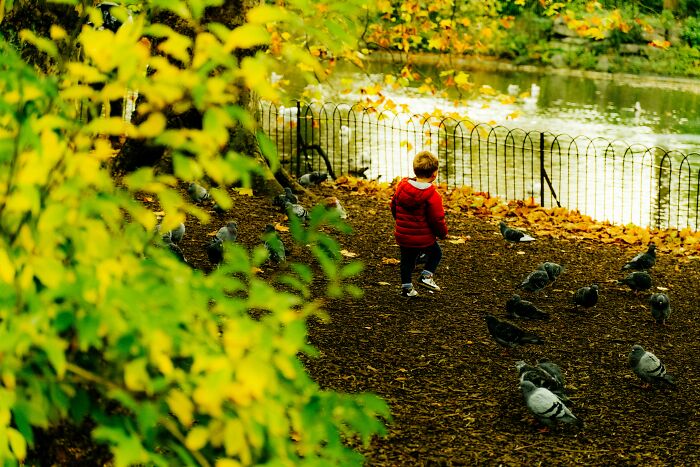 Creepy and Weird Things Kids Just Blurted Out to Their Parents