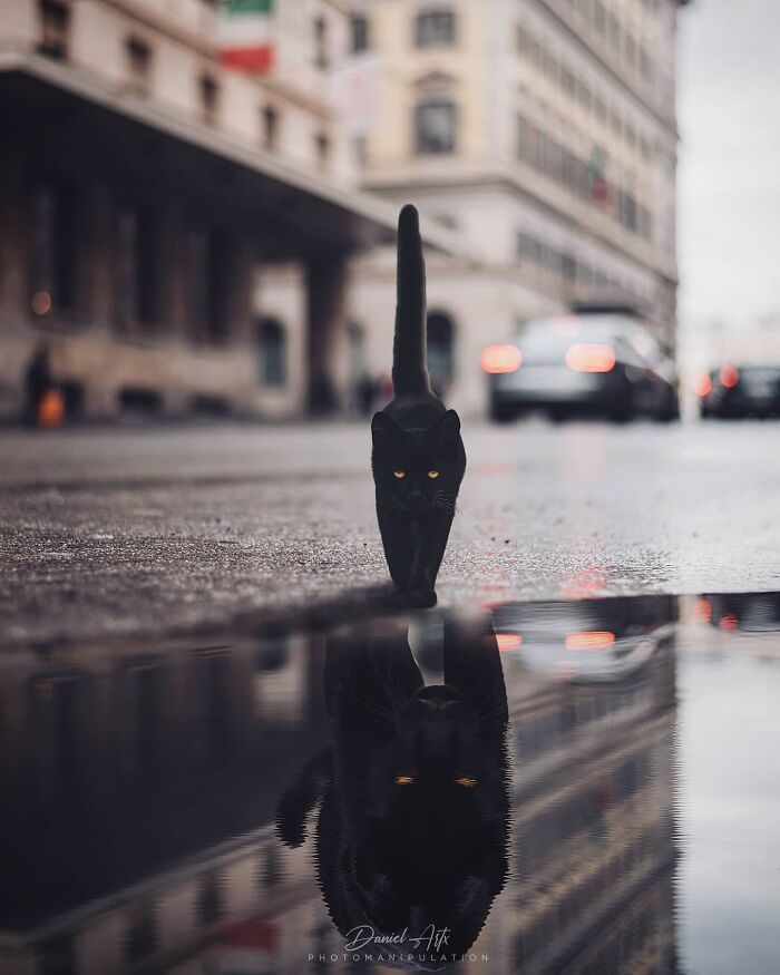 Wait Till You See These Mind-Bending Dreamy Photo Edits!