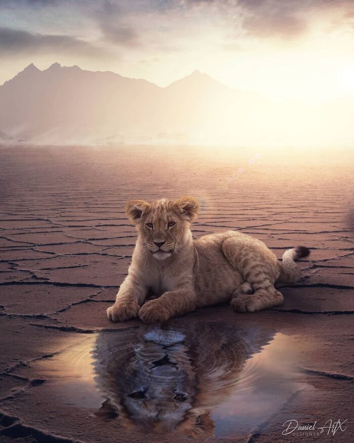 Wait Till You See These Mind-Bending Dreamy Photo Edits!