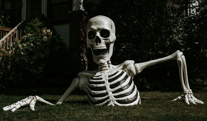 Wait, They Actually Said THAT About Our Bodies?! 37 Hilariously Gross Human Body Facts