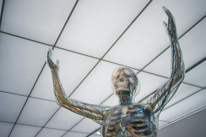 Wait, They Actually Said THAT About Our Bodies?! 37 Hilariously Gross Human Body Facts