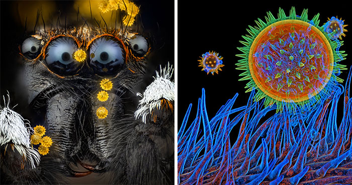 17 Mind-Blowing Microscope Pics That Look Totally Out Of This World