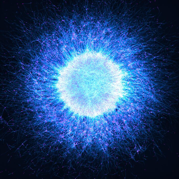 “Neuronal Cosmos” — Katie Holden