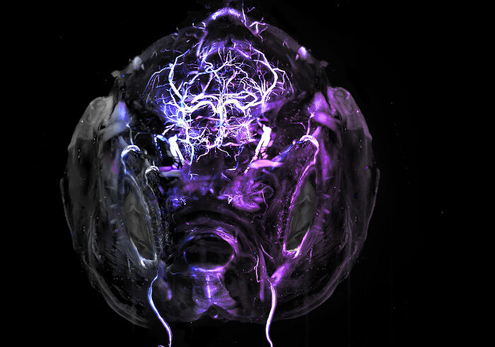 “Adult Zebrafish Brain” — Hannah Somers