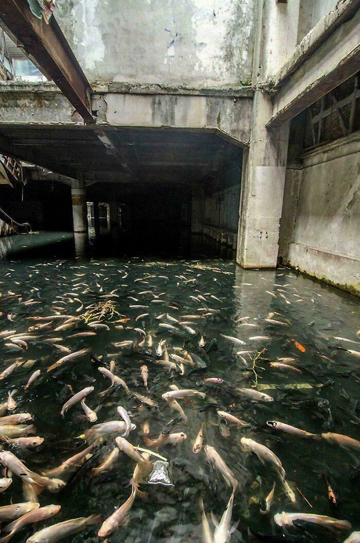 The Wildest Concrete Jungles That Look Like They’re From Another Planet