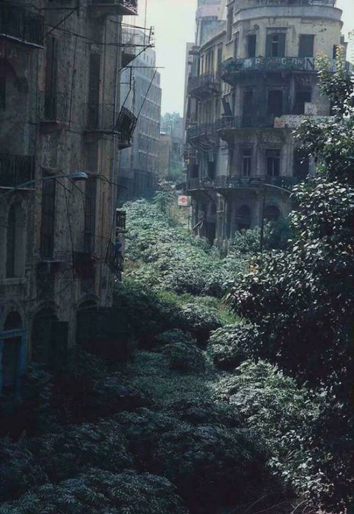 The Wildest Concrete Jungles That Look Like They’re From Another Planet