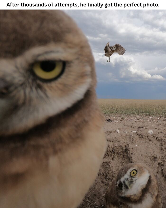 These 50 Pics Will Totally Mess With Your Brain Before Making You Laugh