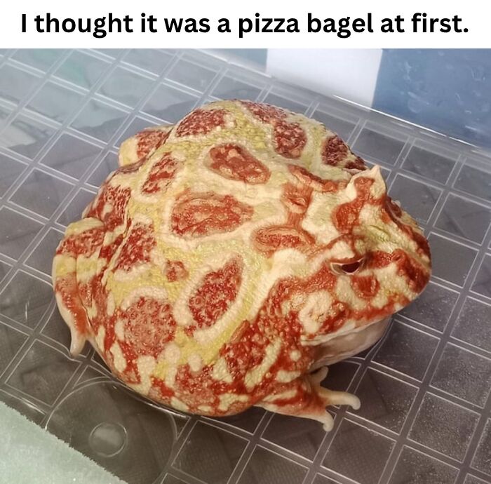 These 50 Pics Will Totally Mess With Your Brain Before Making You Laugh