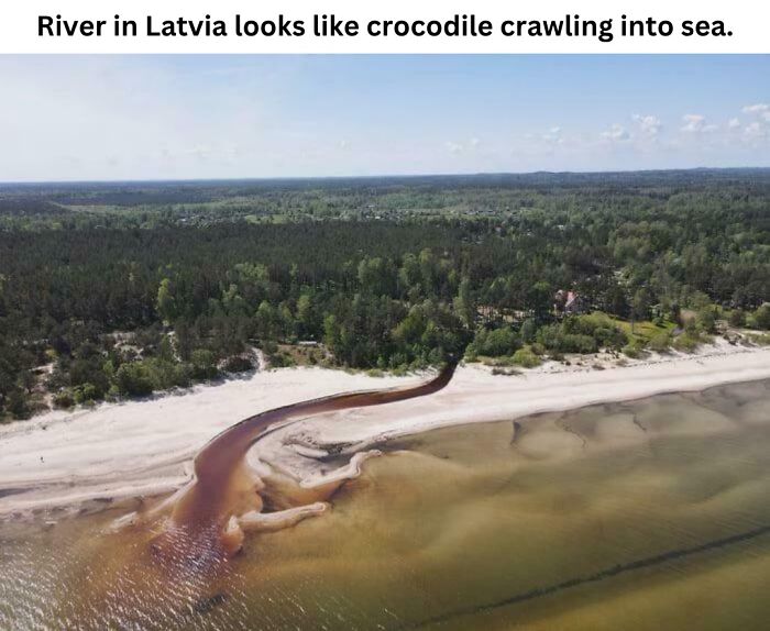 These 50 Pics Will Totally Mess With Your Brain Before Making You Laugh