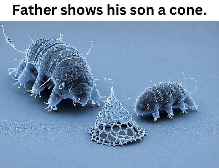 These 50 Pics Will Totally Mess With Your Brain Before Making You Laugh