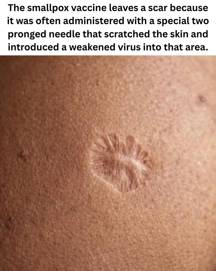 These 50 Pics Will Totally Mess With Your Brain Before Making You Laugh