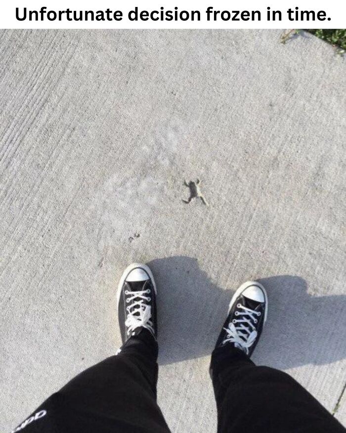 These 50 Pics Will Totally Mess With Your Brain Before Making You Laugh