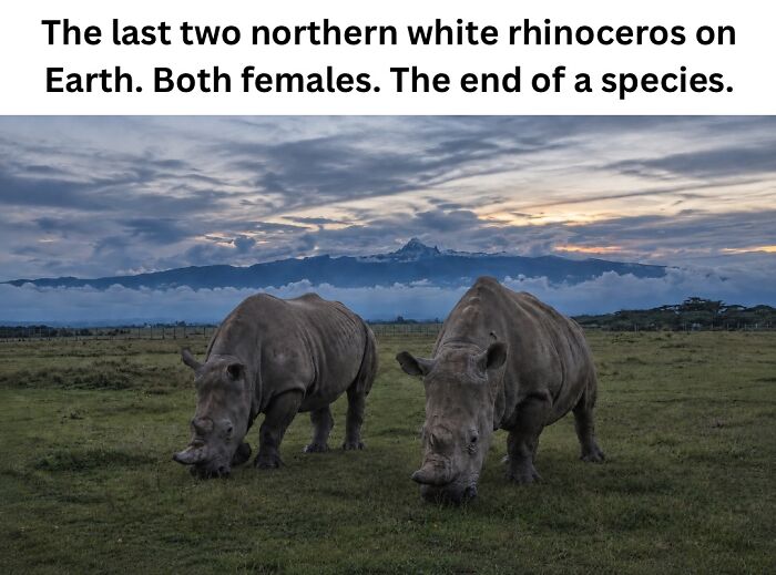 These 50 Pics Will Totally Mess With Your Brain Before Making You Laugh