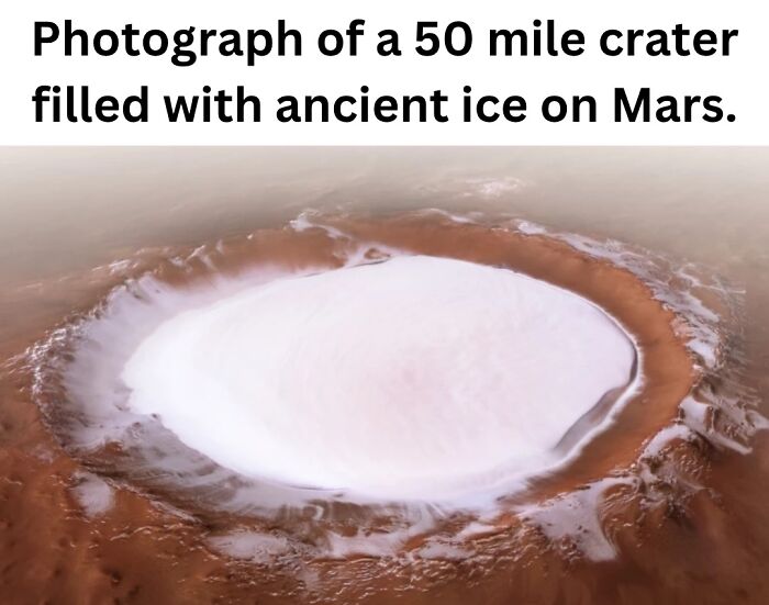 These 50 Pics Will Totally Mess With Your Brain Before Making You Laugh