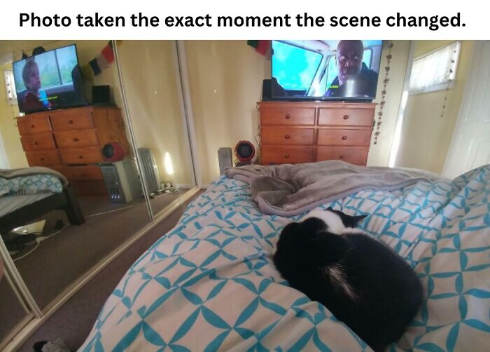 These 50 Pics Will Totally Mess With Your Brain Before Making You Laugh