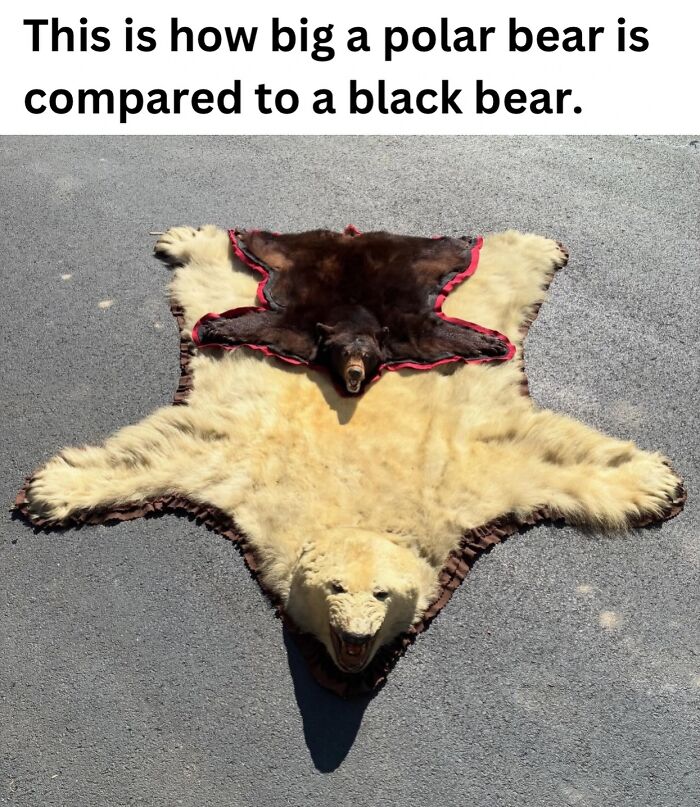 These 50 Pics Will Totally Mess With Your Brain Before Making You Laugh