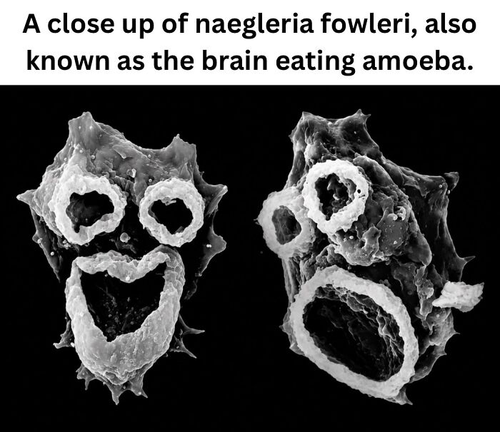These 50 Pics Will Totally Mess With Your Brain Before Making You Laugh
