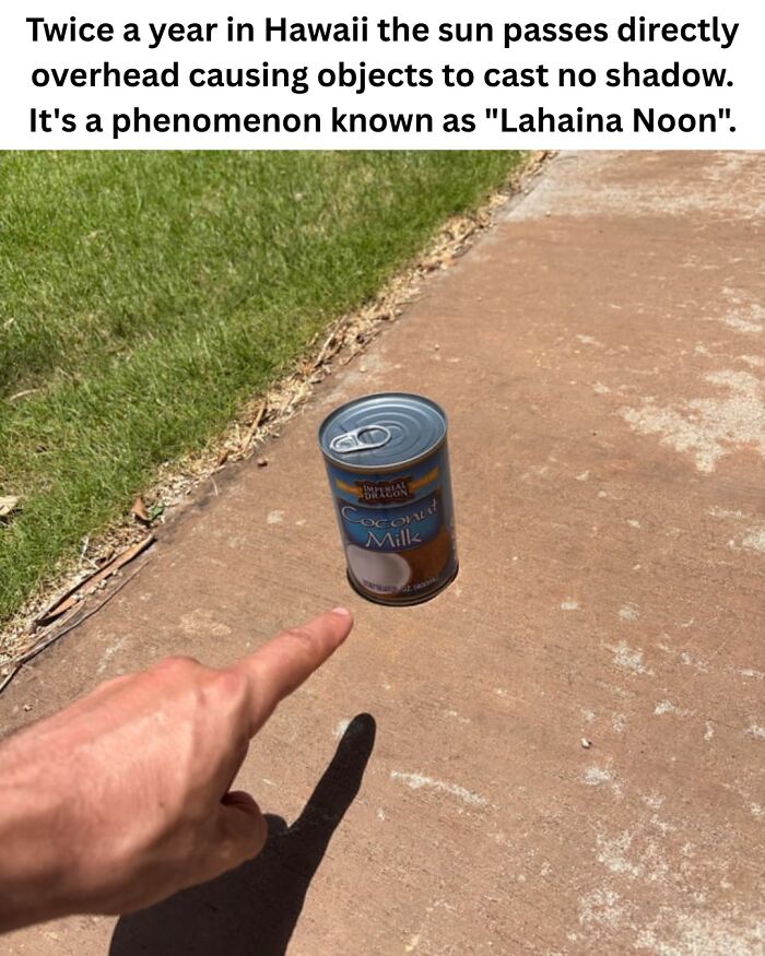 These 50 Pics Will Totally Mess With Your Brain Before Making You Laugh