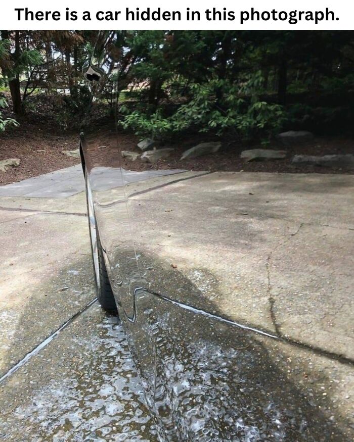 These 50 Pics Will Totally Mess With Your Brain Before Making You Laugh