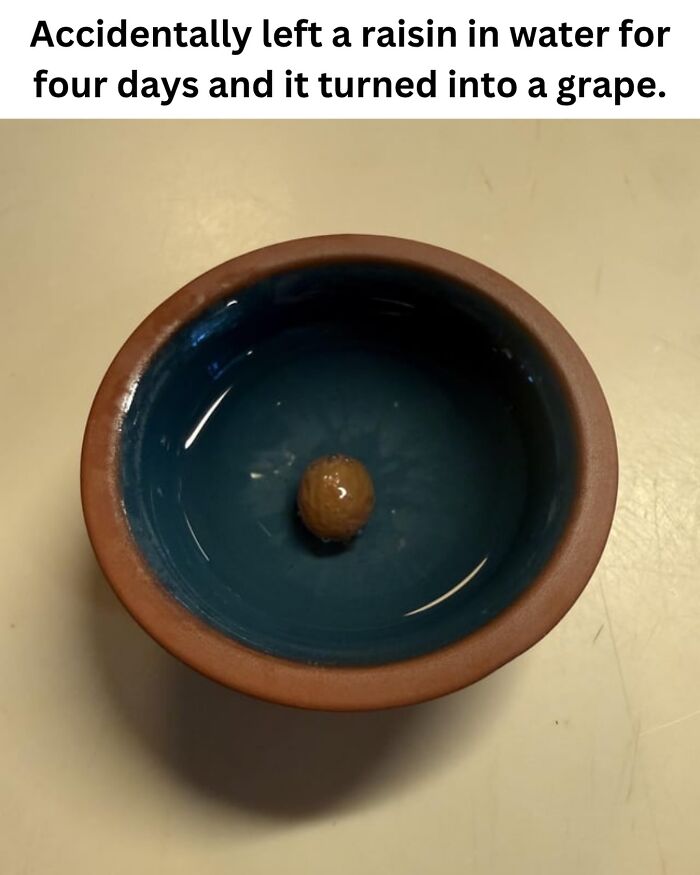 These 50 Pics Will Totally Mess With Your Brain Before Making You Laugh