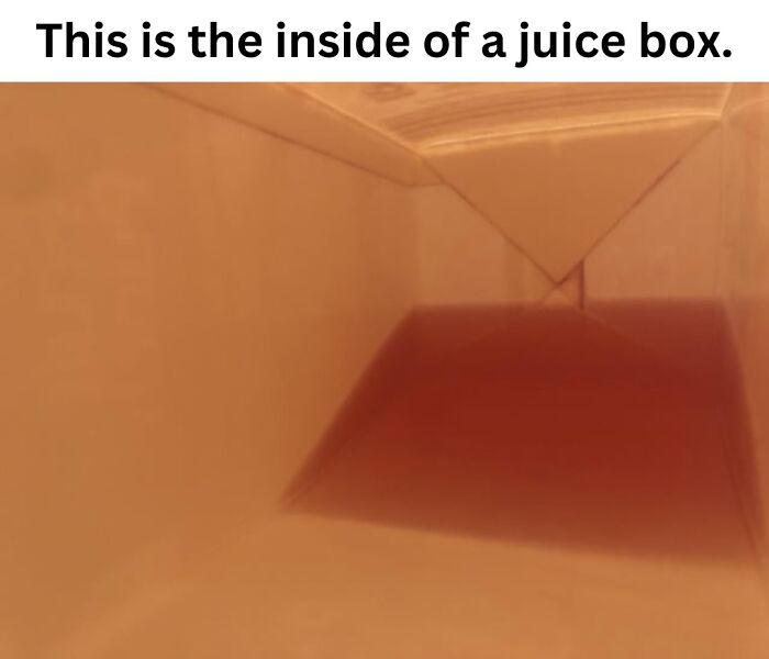 These 50 Pics Will Totally Mess With Your Brain Before Making You Laugh
