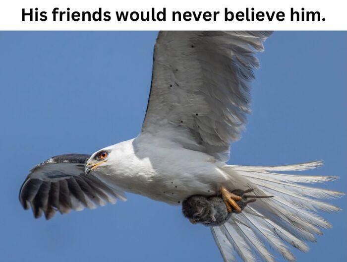 These 50 Pics Will Totally Mess With Your Brain Before Making You Laugh