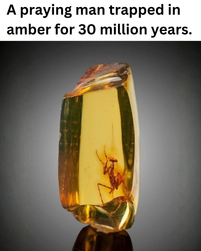 These 50 Pics Will Totally Mess With Your Brain Before Making You Laugh