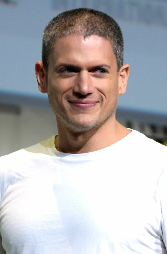 Wentworth Miller: Breakout Star of "Prison Break" and All-Around Cool Brain