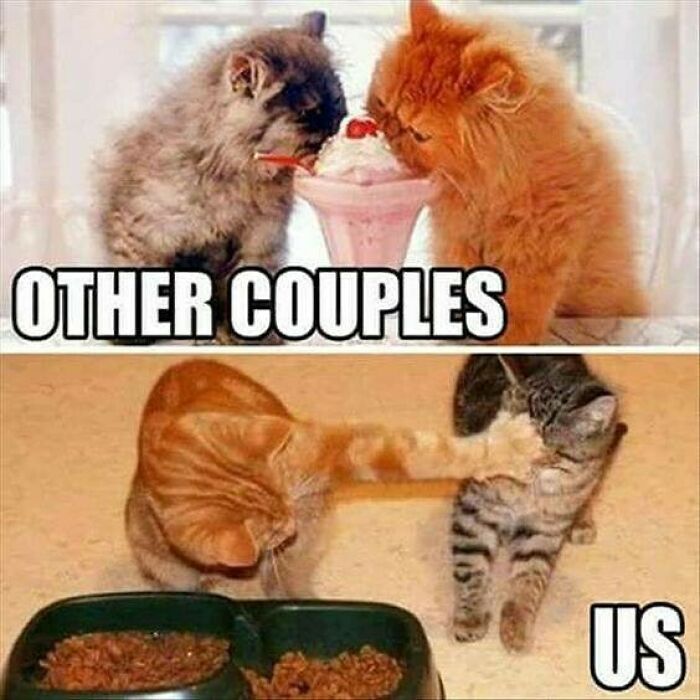 Marriage Memes That Are So True It Hurts (But in a Funny Way)