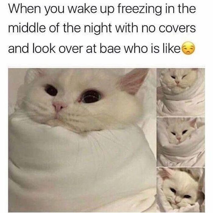 Marriage Memes That Are So True It Hurts (But in a Funny Way)