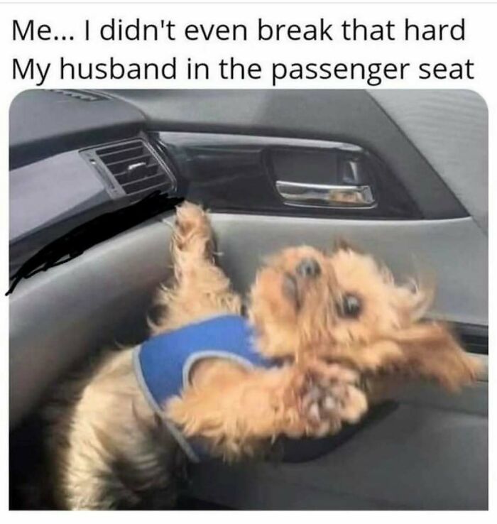 Marriage Memes That Are So True It Hurts (But in a Funny Way)