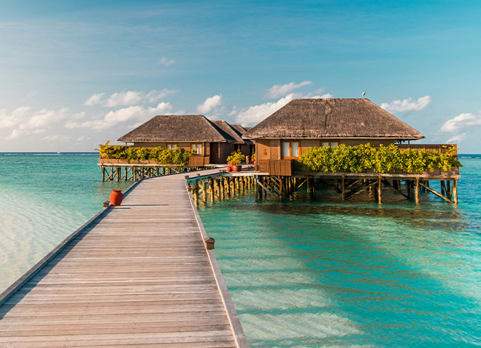 Let's Dive Into Some Wild Facts That'll Flip Your Brain Upside Down!
