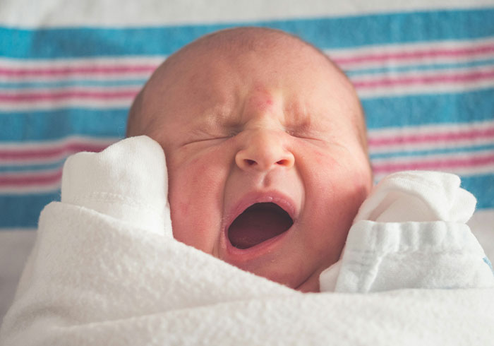 Let's Dive Into Some Wild Facts That'll Flip Your Brain Upside Down!