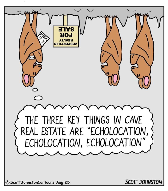 Wait, They Actually Ranked These One-Panel Comics? Yep, And They're Hilarious!