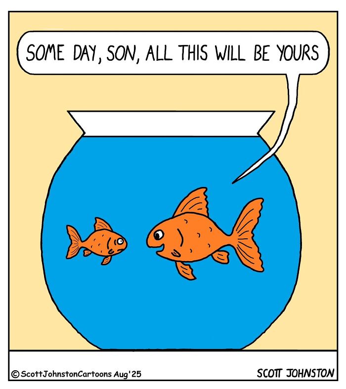 Wait, They Actually Ranked These One-Panel Comics? Yep, And They're Hilarious!