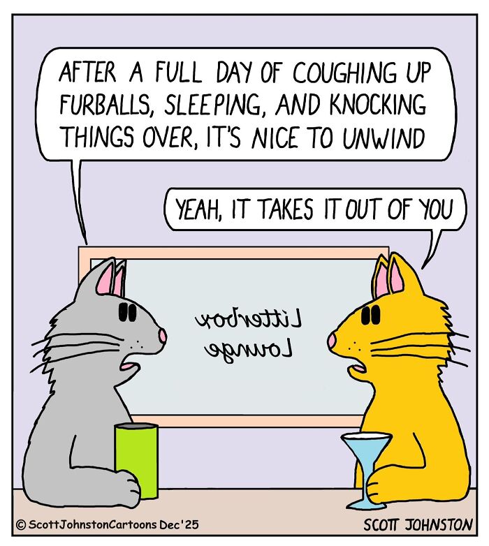 Wait, They Actually Ranked These One-Panel Comics? Yep, And They're Hilarious!