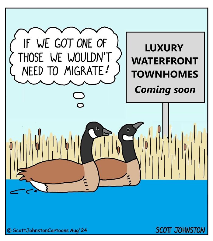 Wait, They Actually Ranked These One-Panel Comics? Yep, And They're Hilarious!