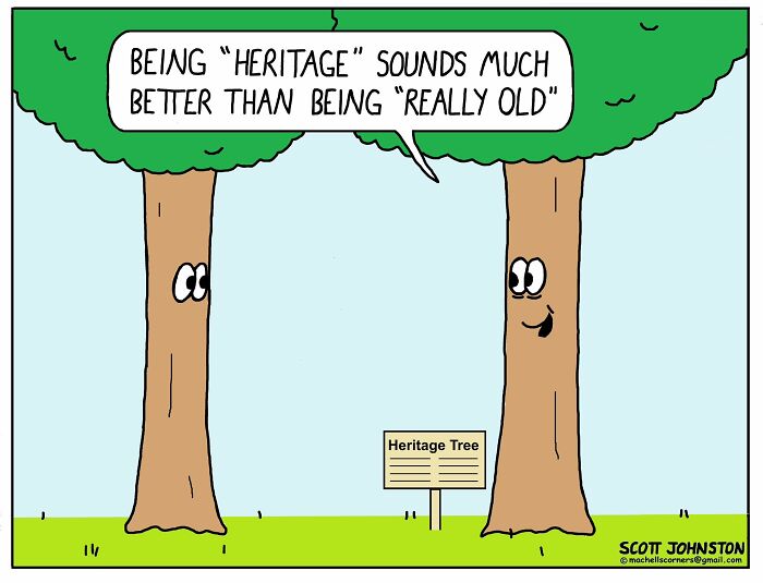 Wait, They Actually Ranked These One-Panel Comics? Yep, And They're Hilarious!