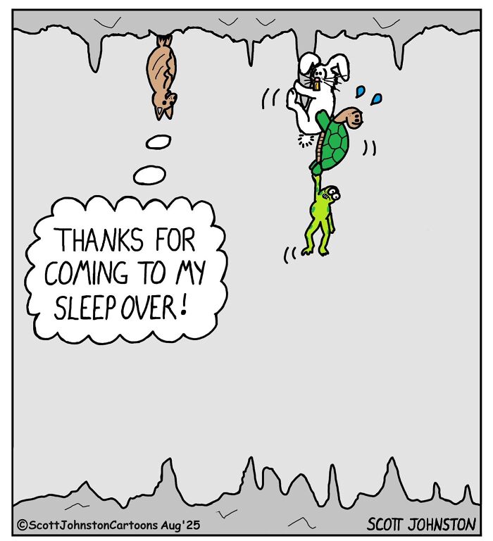 Wait, They Actually Ranked These One-Panel Comics? Yep, And They're Hilarious!