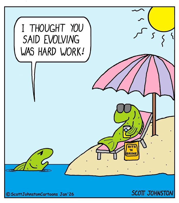 Wait, They Actually Ranked These One-Panel Comics? Yep, And They're Hilarious!