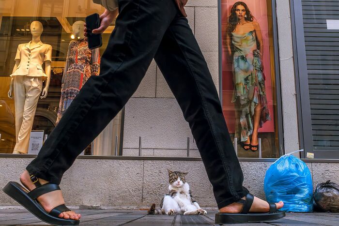 Whoa, Check Out These 80 Totally Weird And Wonderful City Snapshots!