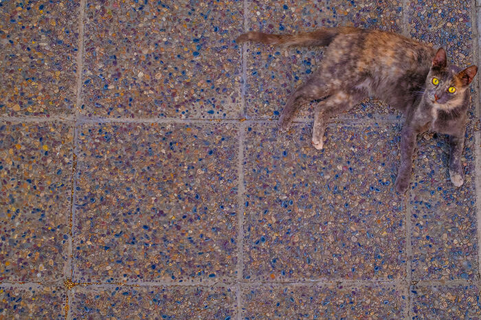 Whoa, Check Out These 80 Totally Weird And Wonderful City Snapshots!