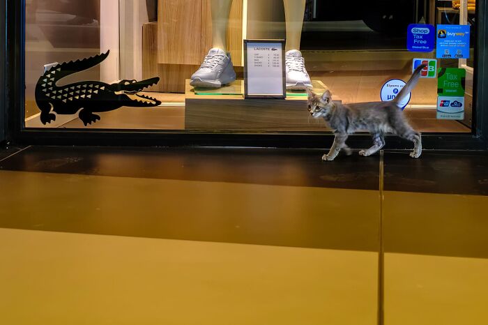 Whoa, Check Out These 80 Totally Weird And Wonderful City Snapshots!