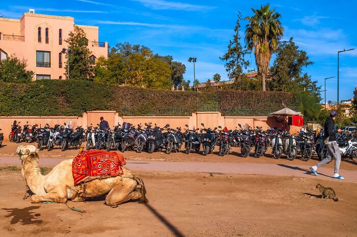 Whoa, Check Out These 80 Totally Weird And Wonderful City Snapshots!