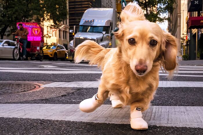 Whoa, Check Out These 80 Totally Weird And Wonderful City Snapshots!