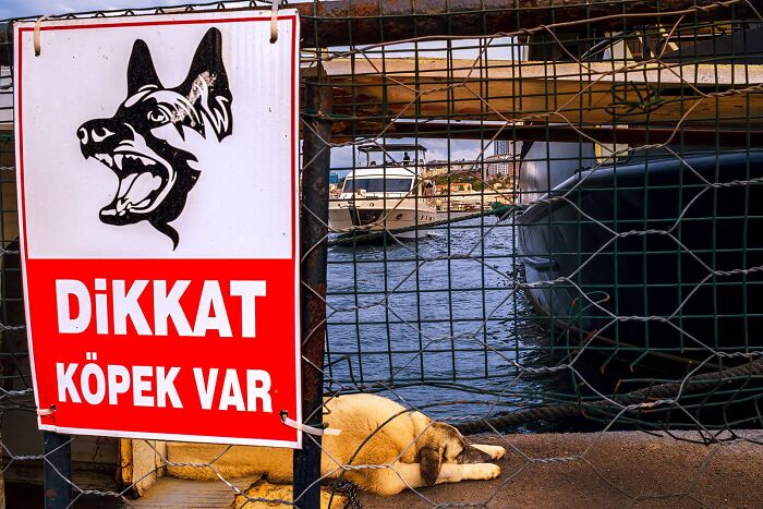 Whoa, Check Out These 80 Totally Weird And Wonderful City Snapshots!