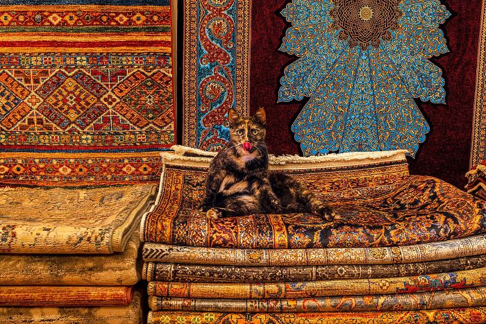 Whoa, Check Out These 80 Totally Weird And Wonderful City Snapshots!