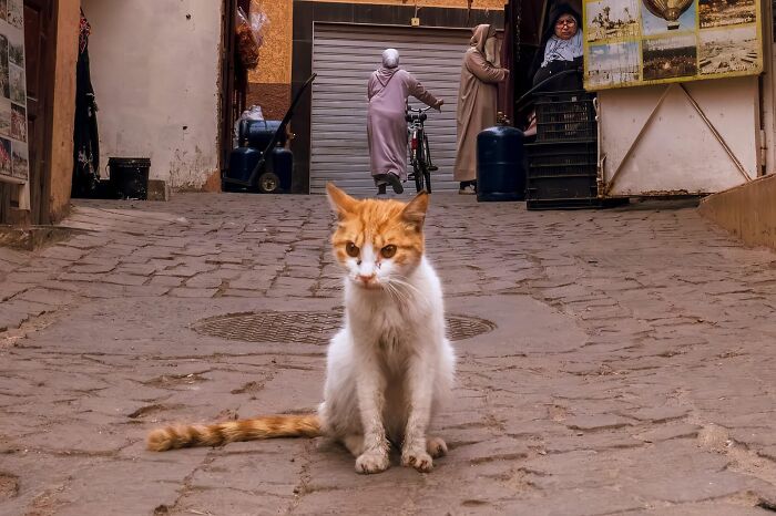 Whoa, Check Out These 80 Totally Weird And Wonderful City Snapshots!